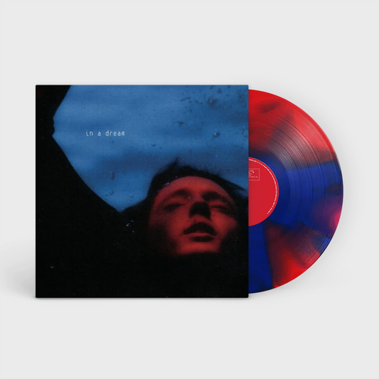 (U) Troye Sivan - In A Dream (5 Year Anniversary) LP