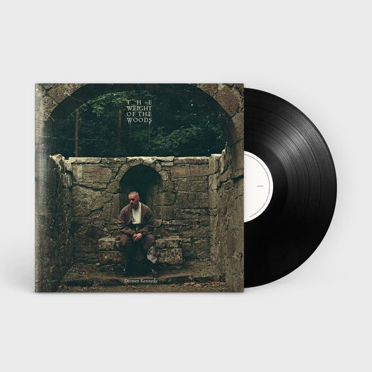 Dermot Kennedy - The Weight of the Woods LP