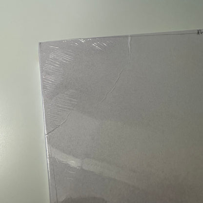 Shawn Mendes - Wonder LP